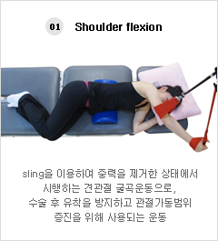 01. Shoulder flexion