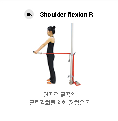 06. Shoulder flexion R